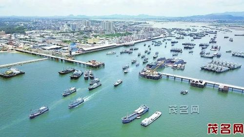 2017年南海伏季休渔期结束,博贺渔港的渔船开航.