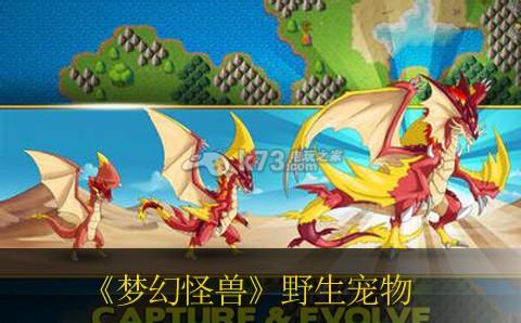 梦幻怪兽野生宠物推荐