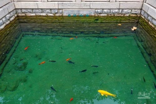 《济南"新七十二名泉"图赏》之新,老金线泉