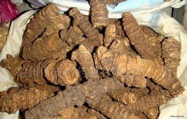 解表剂:九味羌活汤介绍