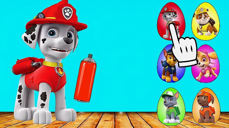 不一样的早教视频:汪汪队毛毛