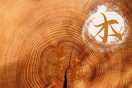 2021年4月9日出生属牛男孩缺木起名 优秀不一般男孩名