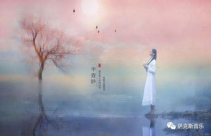 半壶纱刘珂矣经典歌曲深情中音萨克斯音乐