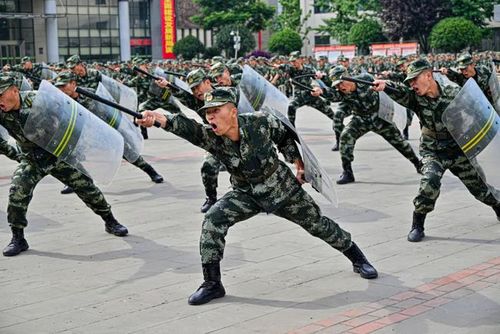 飒警棍盾牌术它来了