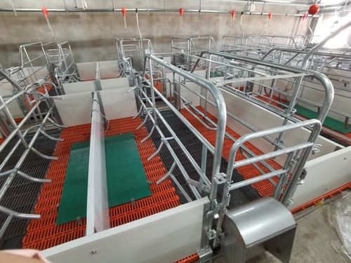 自动化养猪设备在养猪场中是怎样配用的?