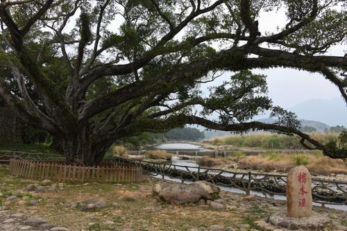 永泰榕水谣,嵩口古镇