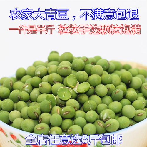 大豆种子黄豆