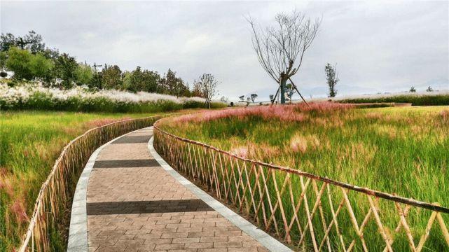 汉中湿地公园最美的季节,又快到了