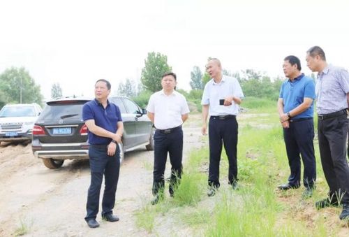 确山县领导关注生态修复 还秀山"秀丽"姿色