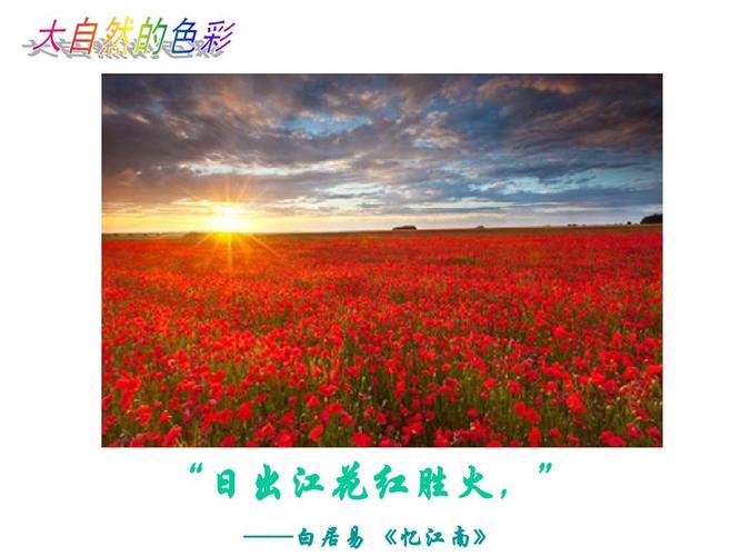 "日出江花红胜火," ——白居易 《忆江南》