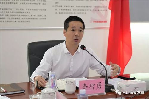 迅速行动,高标准,严要求,对标《中共台山市委第二巡察组巡察海宴镇