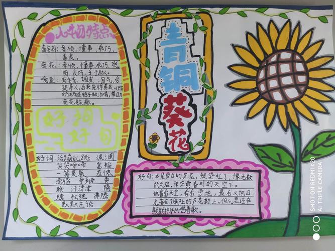 同读一本书 共享读书乐——营庄小学五年级共读《青铜葵花》