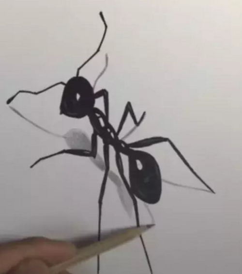 90后美术生素描画蚂蚁,本以为不咋地,看到成品图想拜师了!