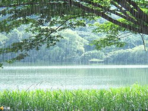 春雨的颜色(邵志懋)课件ppt