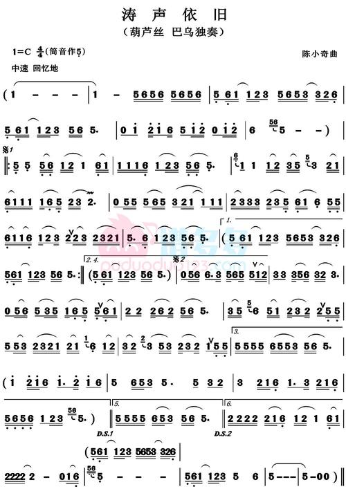 毛宁涛声依旧葫芦丝谱