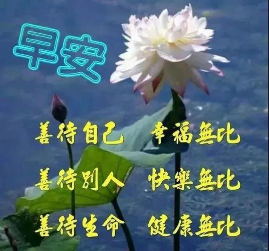 2022年2月24日清晨早上好问候祝福动态表情图片最新早安问候祝福图片