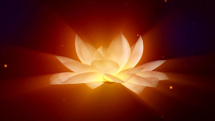 高清佛教莲花旋转绽放