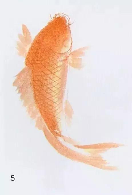 【国画课程】鲤鱼的各种画法,看到的都会富裕好运气!
