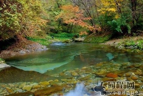 黎坪国家森林公园风景图