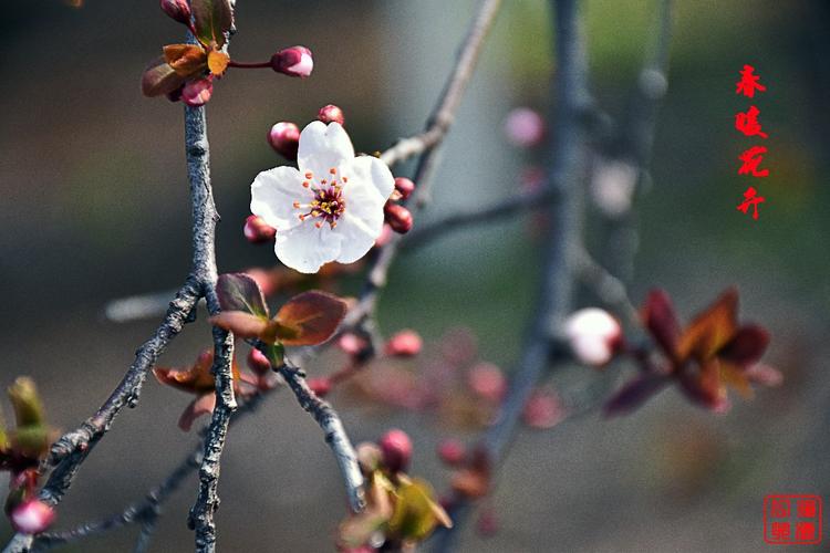 春分