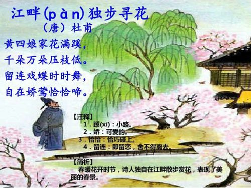 暑假小学生必背古诗词75首之十九《江畔独步寻花》一仿读一背诵原诗