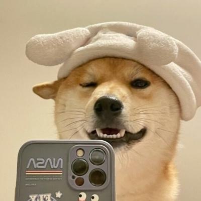 神气狗子头像