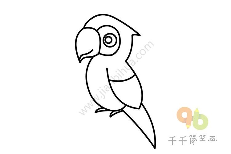 会说话的鹦鹉简笔画步骤图