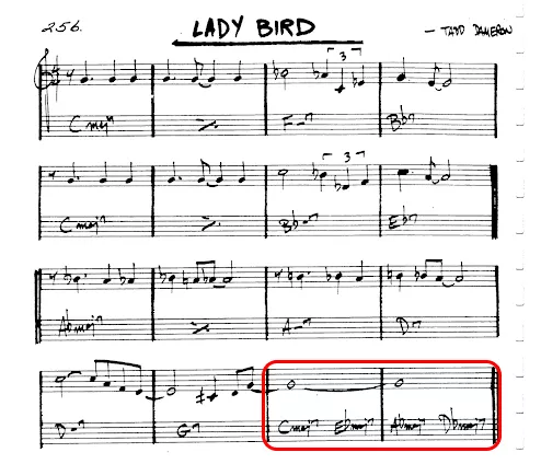 中可以选择的即兴琶音,音阶提示 课程笔记 /和声进行分析/ ladybird