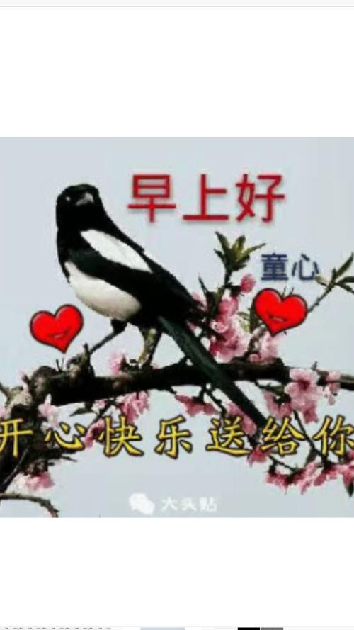 一路顺风.平安回家.