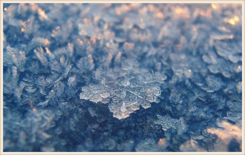 愿意拿着爱的号码牌等你的四大星座男,金牛:为了你心甘情愿!