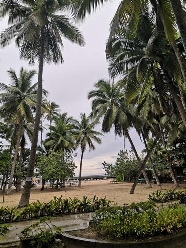 其它 文昌东郊椰林景区 写美篇东郊椰林风景区环境还算比较优美的