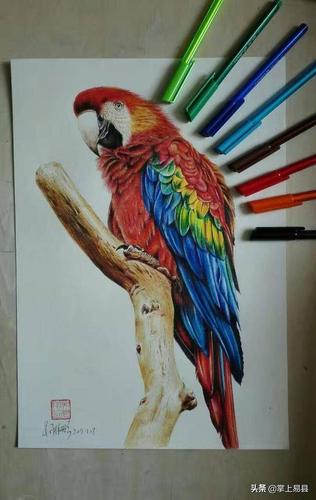 小小圆珠笔 画出大世界