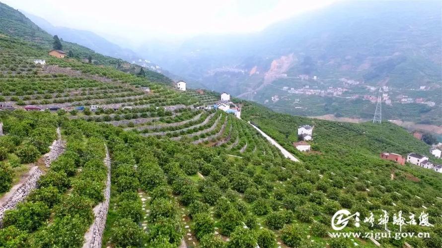 为了解答疑问,让我们一起到秭归县郭家坝镇去看一看.