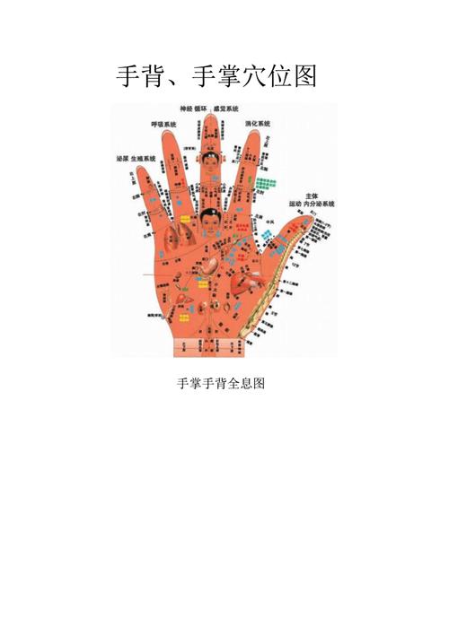 手掌手背全息图pdf16页