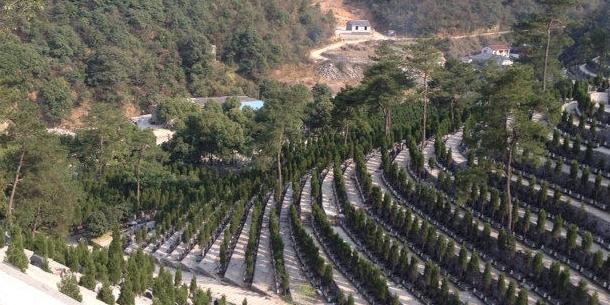 地址(位置,怎么去,怎么走):  浙江省杭州市西湖区浙江特殊教育职业