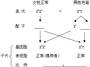 人类红绿色盲症是一种常见的伴x隐性遗传病,患者由于