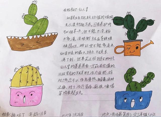 香山科普|"阳台花园" 自然笔记作品展