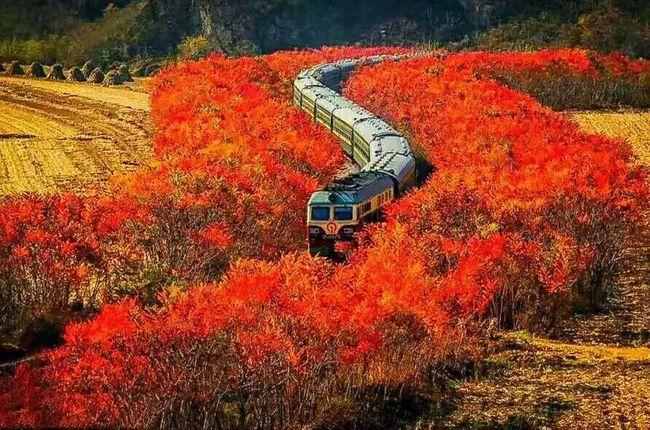 本溪的秋天人少景美|枫叶|风景|红叶_网易订阅