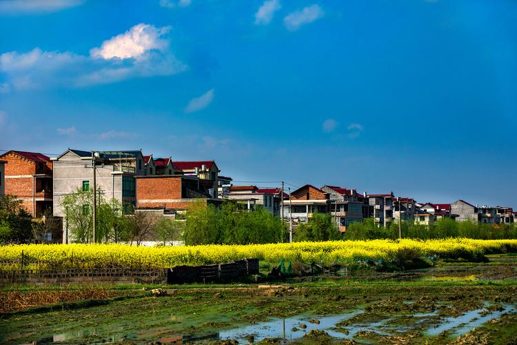 江西新干:乡村田园风光