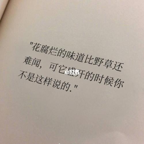 借我怦然心动如往昔 借我安适的清晨与傍晚_素材_文字