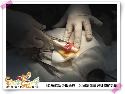 > 20104121222224815号相片详细资料