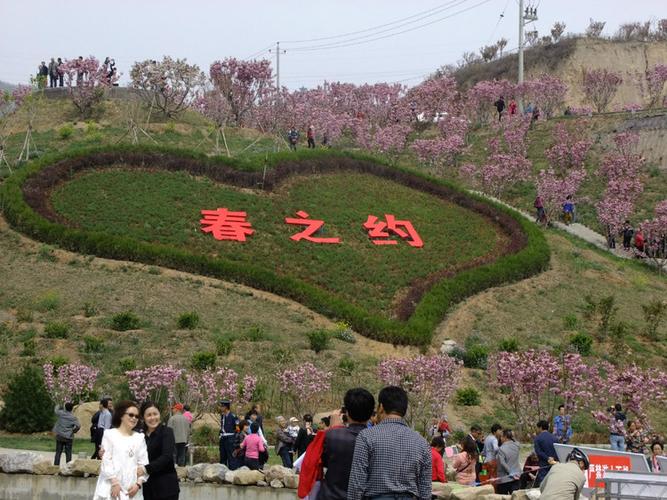 346,太原圪僚沟玉泉山森林公园樱花节