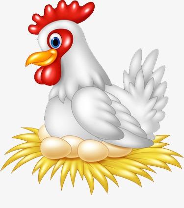 在孵蛋的鸡母鸡孵蛋母鸡孵蛋11ppt直到有一天鸡妈妈累了进入到想孵蛋