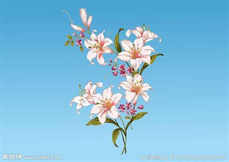 工笔画 百合 花纹矢量图__绘画书法_文化艺术_矢量图库_昵图网nipic.