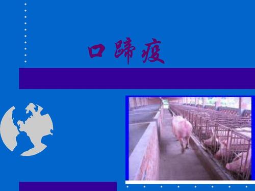 口蹄疫ppt