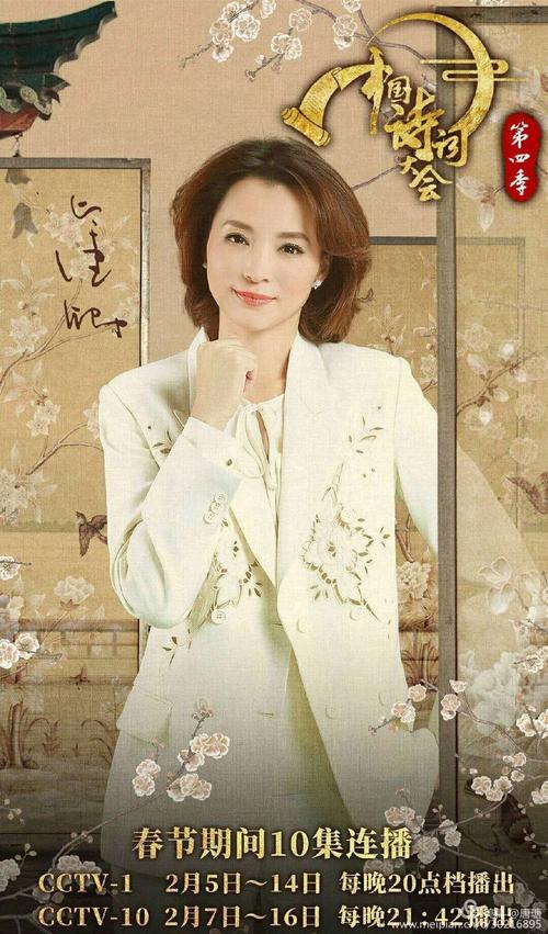 题《中国诗词大会主持人董卿》