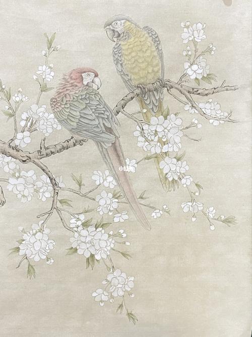 工笔花鸟画,鹦鹉,3次分染结束