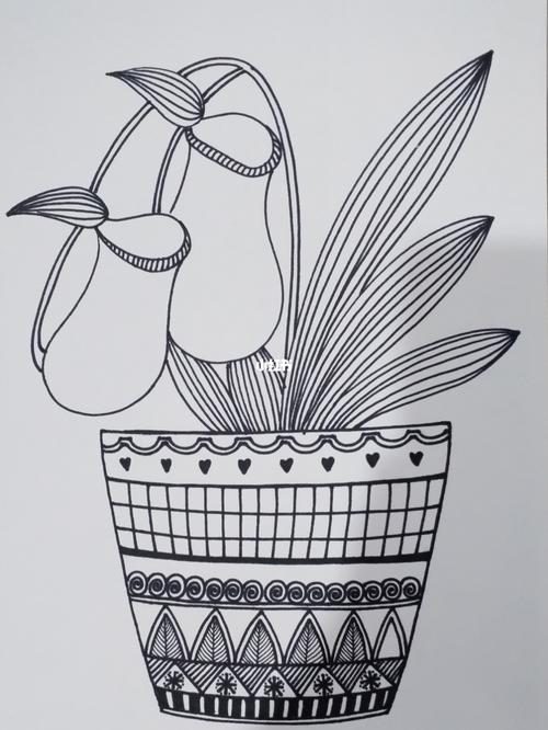 儿童画,捕蝇草_儿童画_文化_绘画