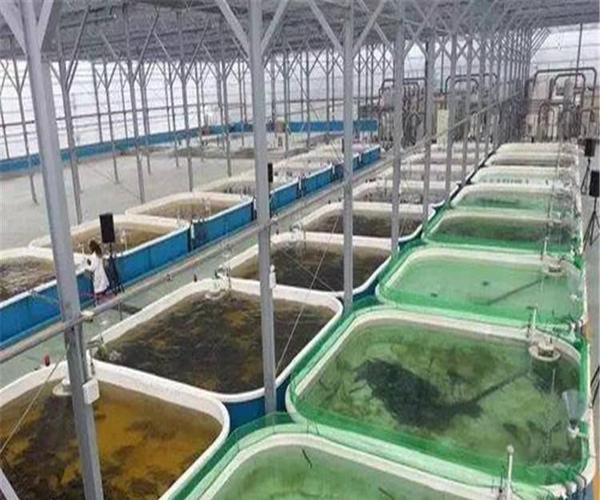 新型工业水产养殖帆布水池 养虾池子