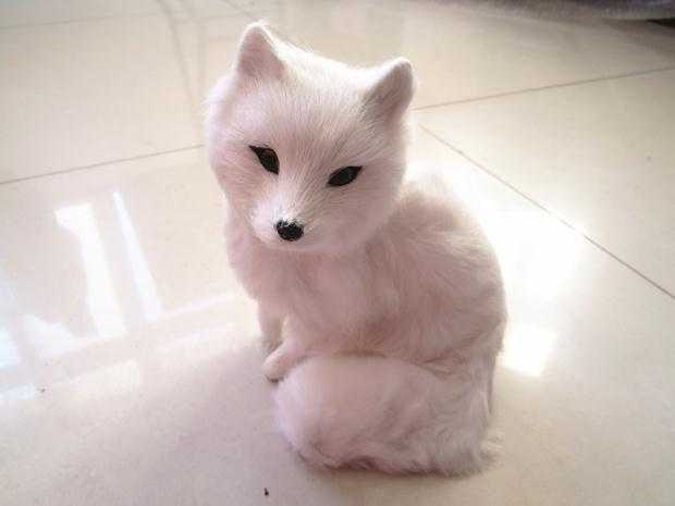 白狐狸图片美甲 九尾白狐狸精图片